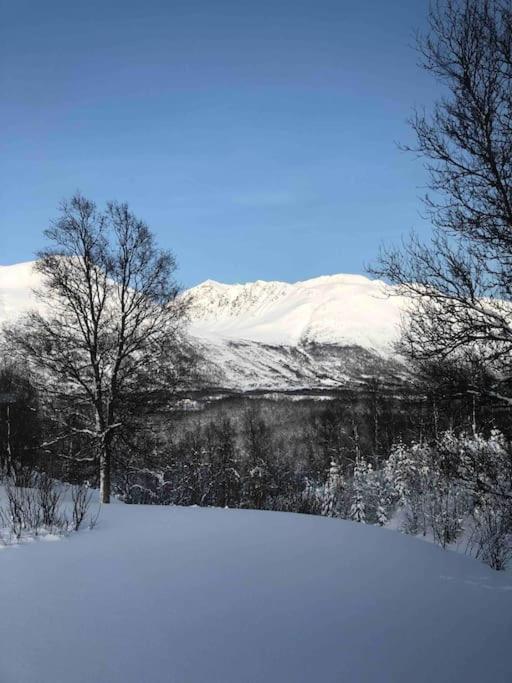 Mountainside Lodge - Breivikeidet Τρόμσο Εξωτερικό φωτογραφία