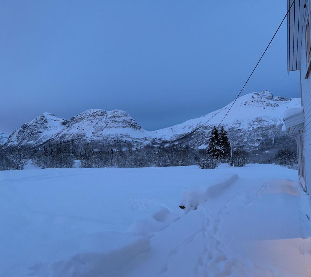 Mountainside Lodge - Breivikeidet Τρόμσο Εξωτερικό φωτογραφία